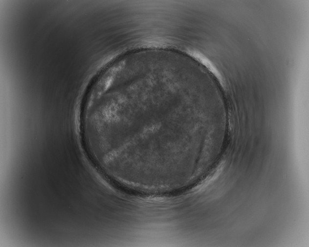 X0000091650581200709201128