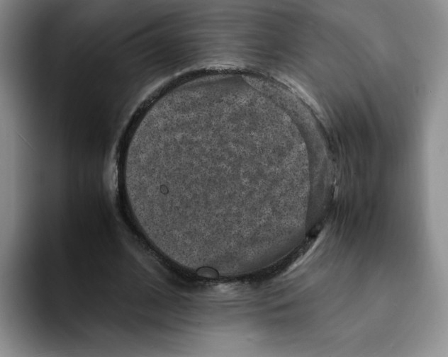 X0000091650584200709201128