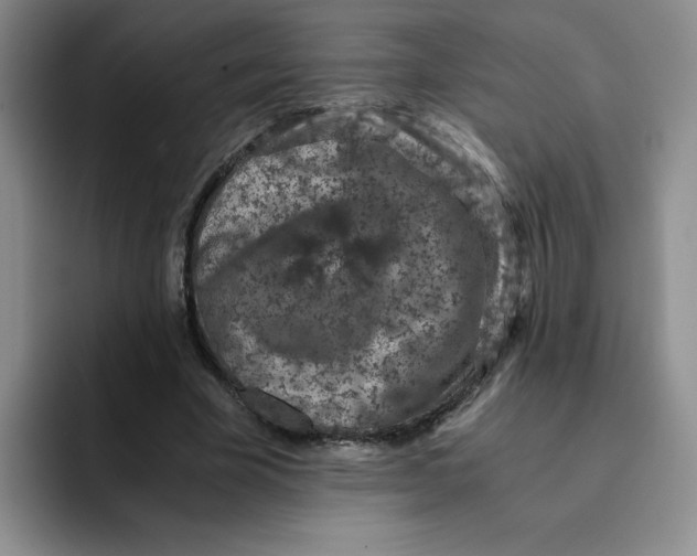 X0000091650585200709201128