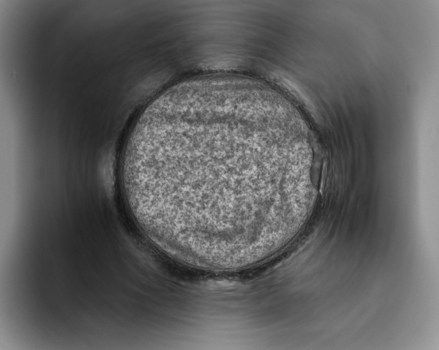 X0000091650586200709201128