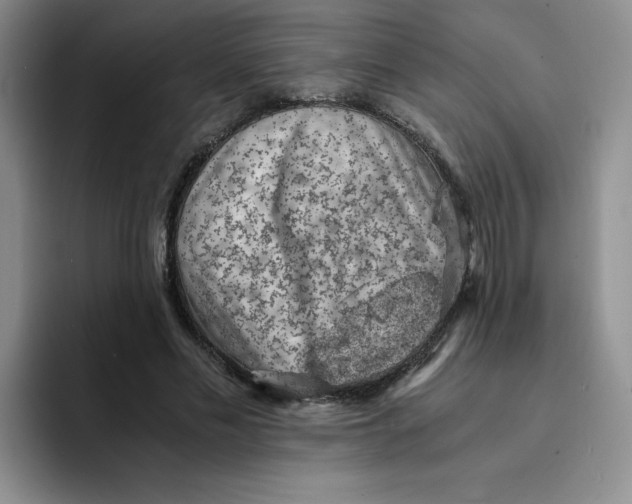 X0000091650589200709201127