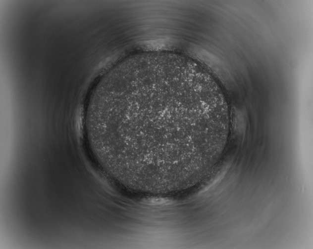 X0000091650590200709201127