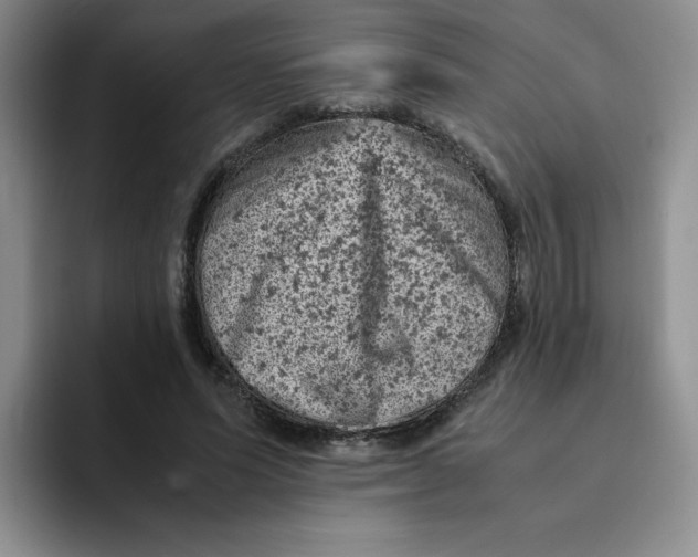 X0000091650591200709201127