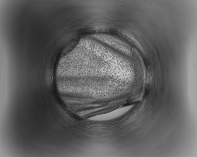 X0000091650593200709201127