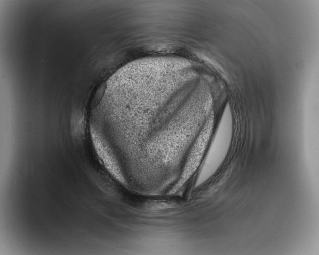 X0000091650597200709201127