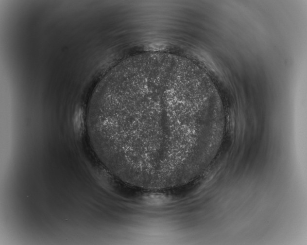 X0000091650598200709201127