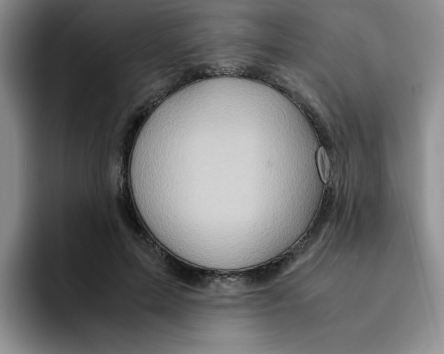 X0000091650599200709201127