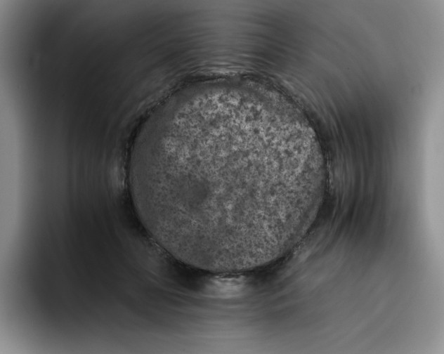 X0000091650606200709201127