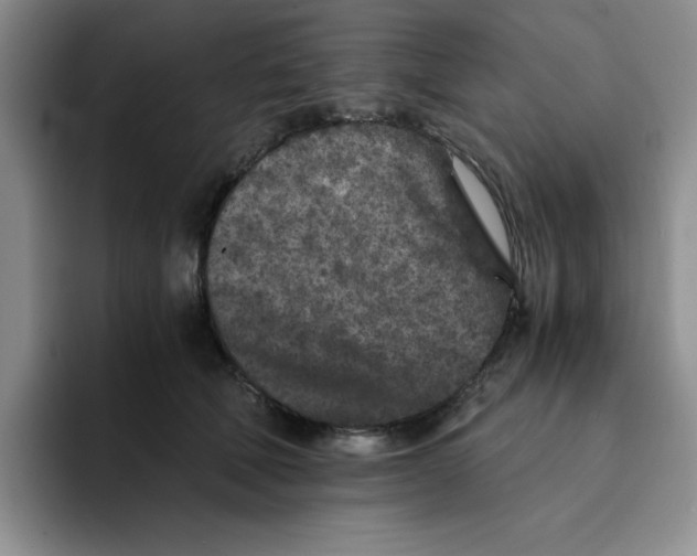 X0000091650610200709201127