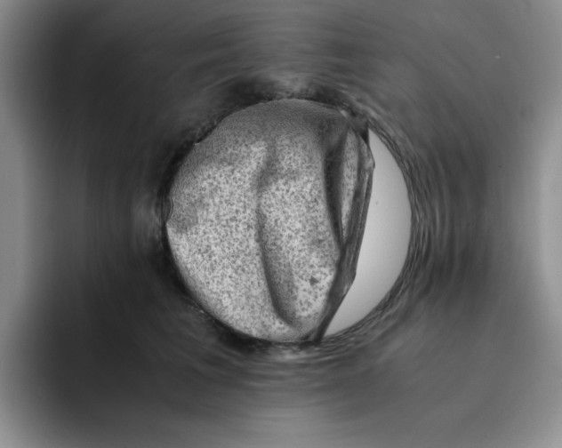 X0000091650613200709201127