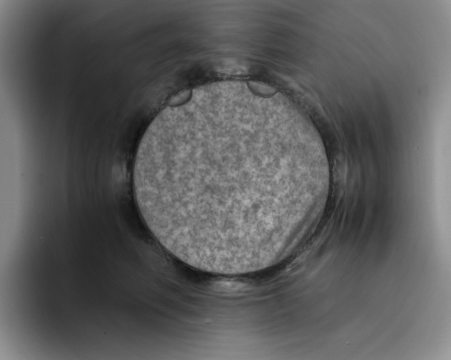 X0000091650614200709201127