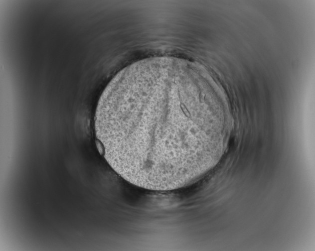 X0000091650615200709201127