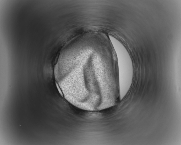 X0000091650617200709201127