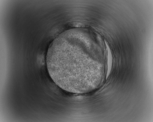 X0000091650620200709201127