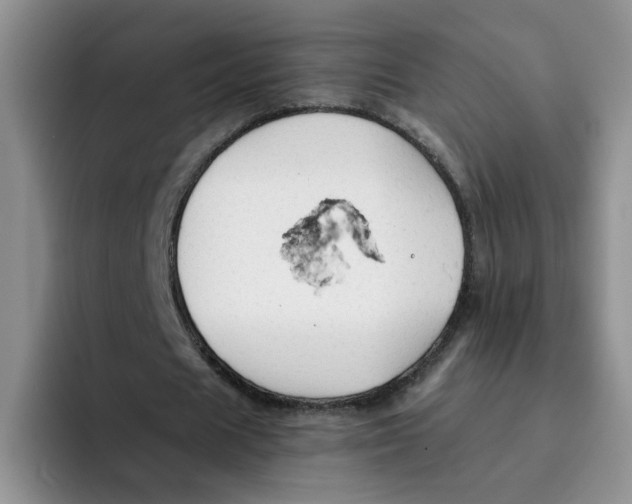 X0000091650625200709201126