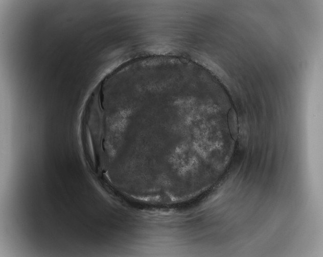 X0000091650626200709201127