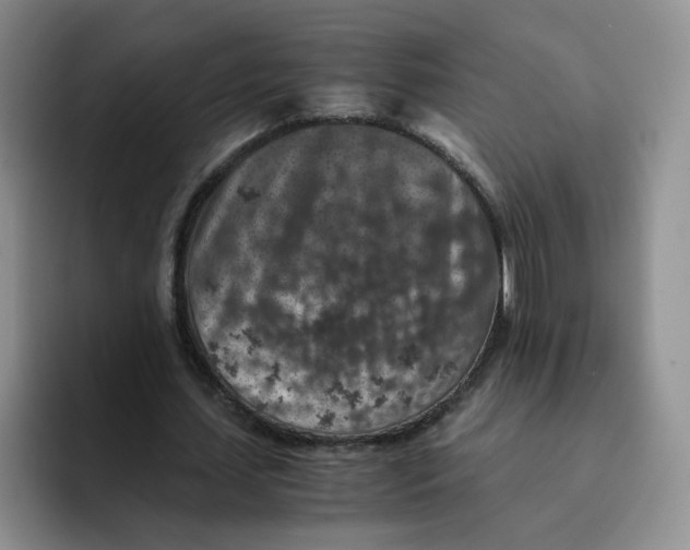 X0000091650627200709201127