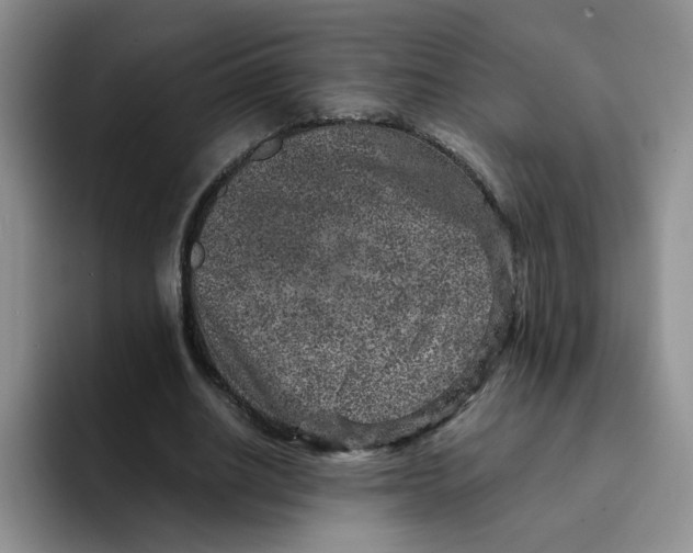 X0000091650630200709201127