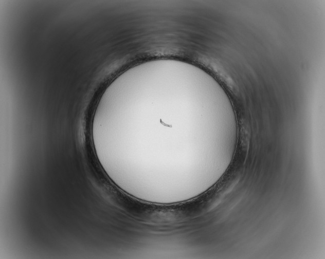 X0000091650631200709201127