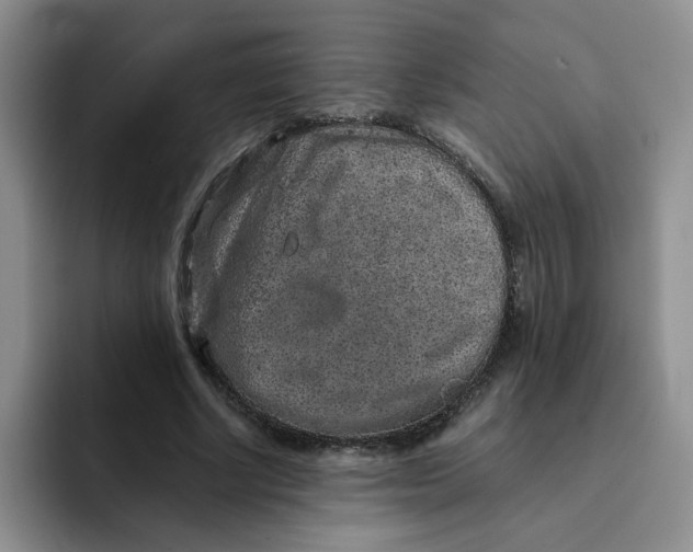 X0000091650634200709201127