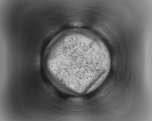 X0000091650639200709201127