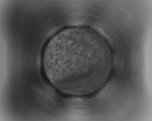 X0000091650640200709201127