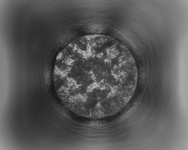 X0000091650641200709201127