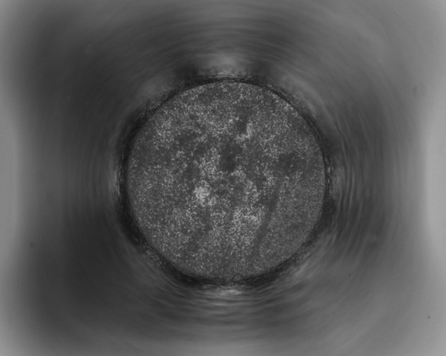 X0000091650643200709201127