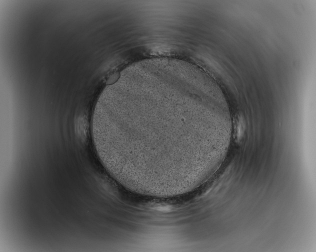 X0000091650648200709201127