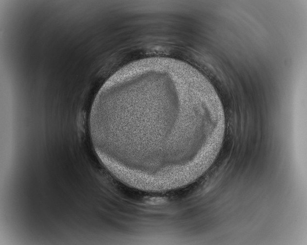 X0000091650649200709201127