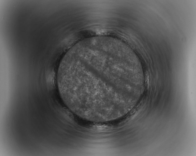 X0000091650650200709201127