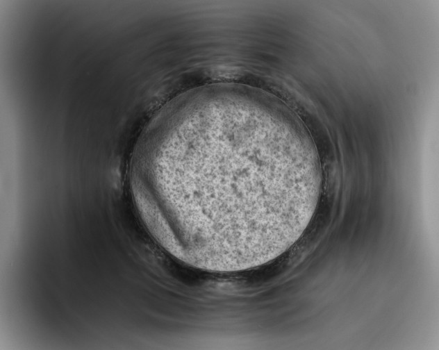 X0000091650655200709201127