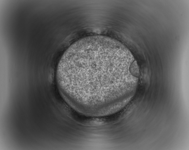 X0000091650656200709201127