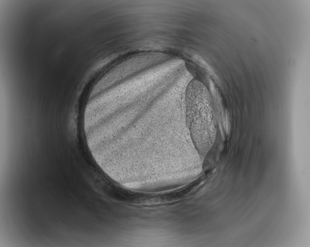 X0000091650675200709201126