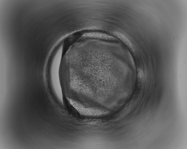 X0000091650676200709201126