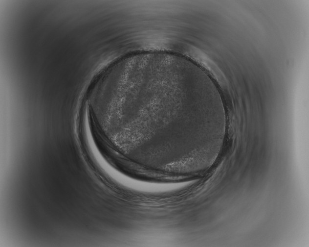 X0000091650677200709201126