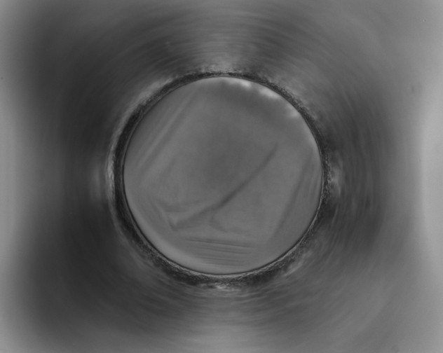 X0000091650678200709201126