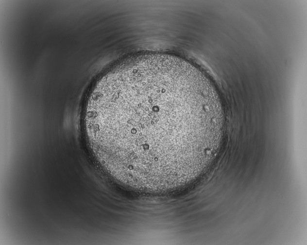 X0000091650679200709201126