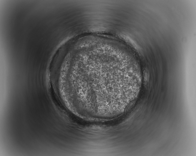 X0000091650684200709201126