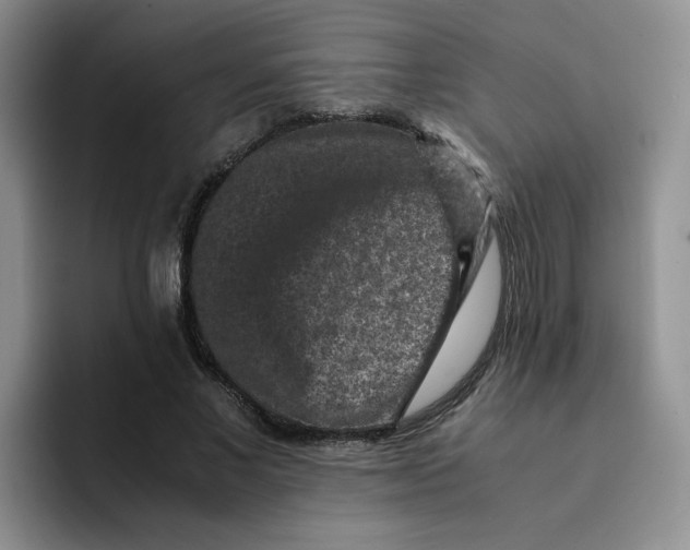 X0000091650685200709201126