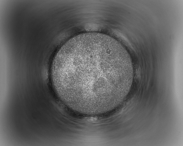 X0000091650687200709201126