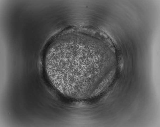 X0000091650688200709201126