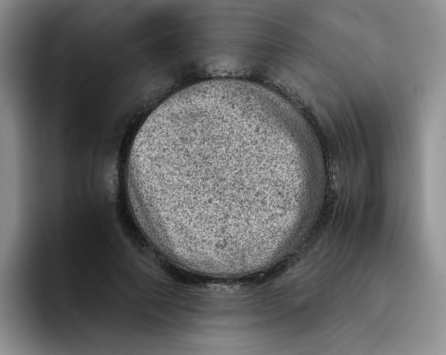 X0000091650690200709201126