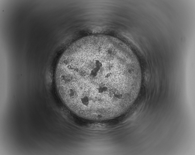 X0000091650691200709201126