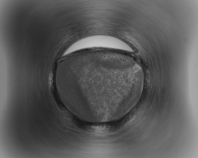 X0000091650693200709201126