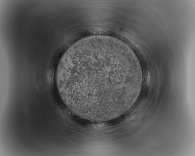 X0000091650695200709201126