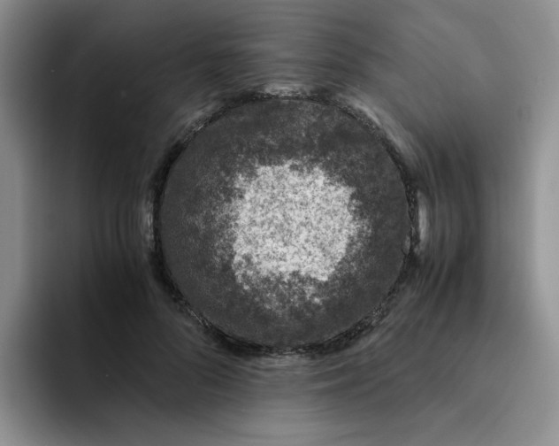 X0000091650696200709201126