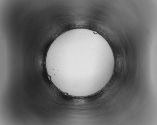 X0000091650698200709201126