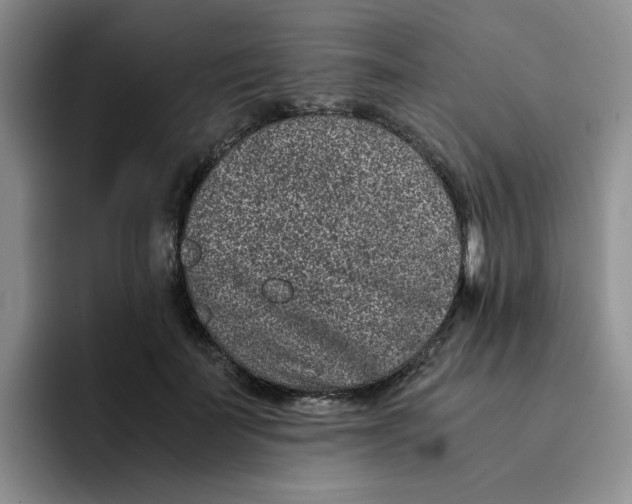 X0000091650699200709201126