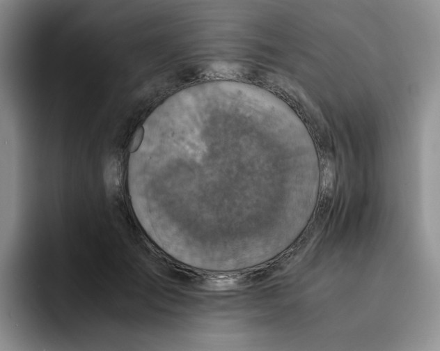 X0000091650701200709201126